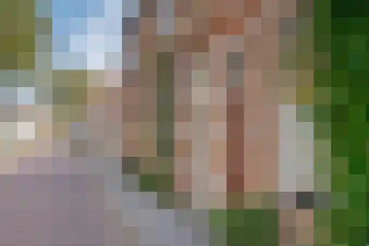 Molenweg 46 Zwolle thumbnail 45