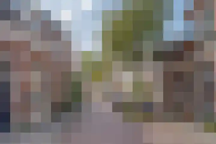 Molenweg 46 Zwolle thumbnail 46
