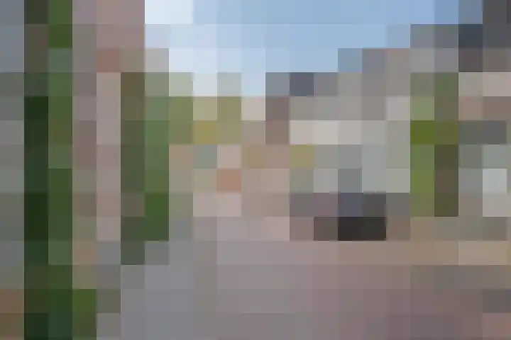 Molenweg 46 Zwolle thumbnail 47