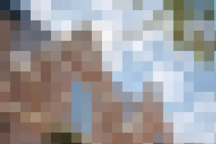 Molenweg 46 Zwolle thumbnail 6