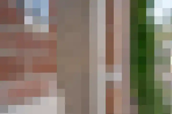 Molenweg 46 Zwolle thumbnail 7