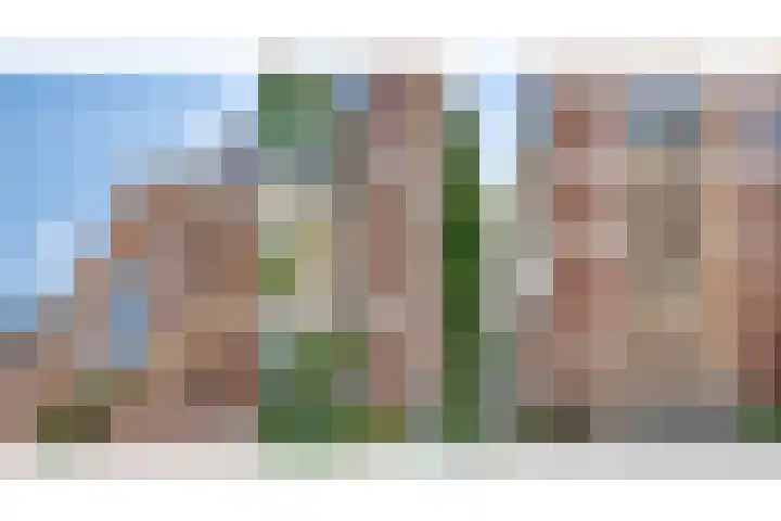 Molenweg 46 Zwolle thumbnail 8