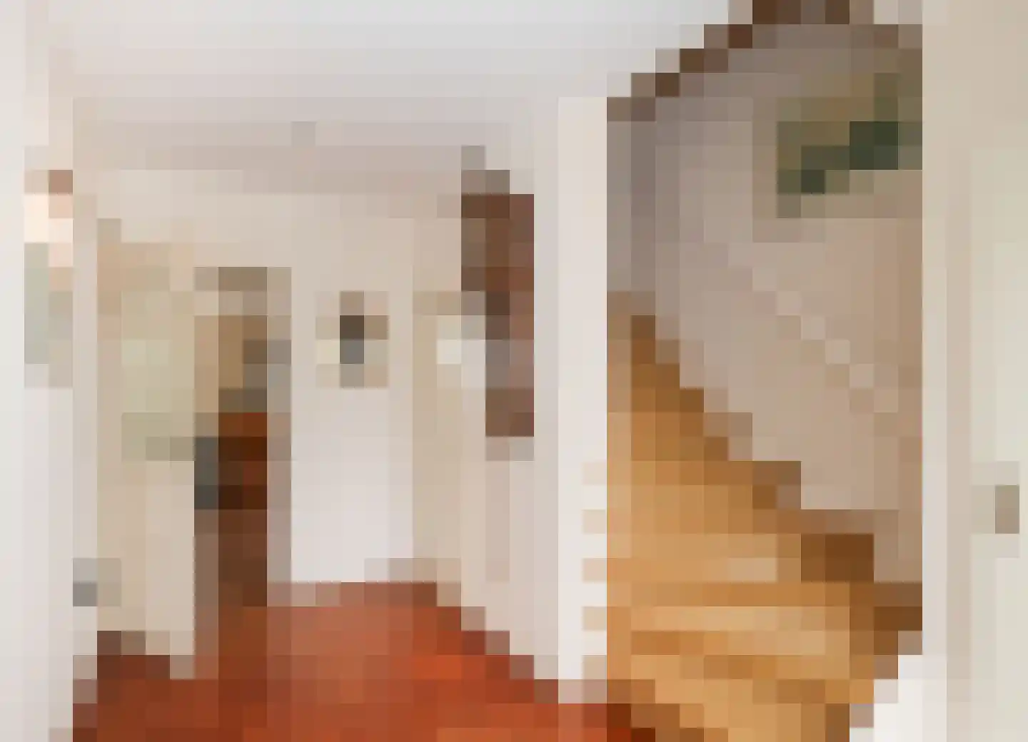 Molenweg 47 a Oostvoorne thumbnail 13