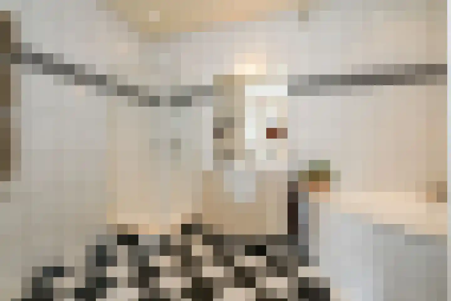 Molenweg 47 a Oostvoorne thumbnail 37