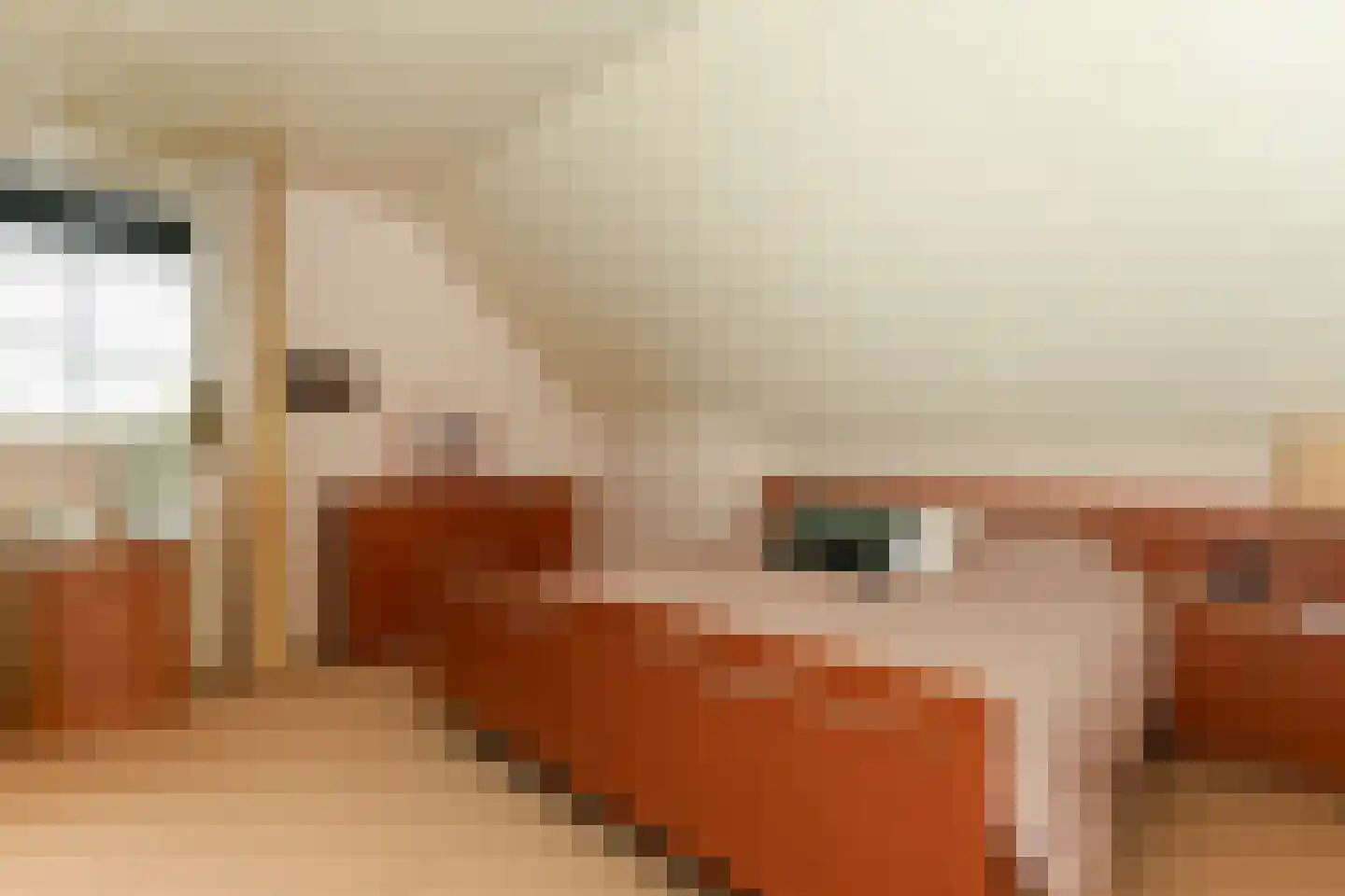 Molenweg 47 a Oostvoorne thumbnail 50
