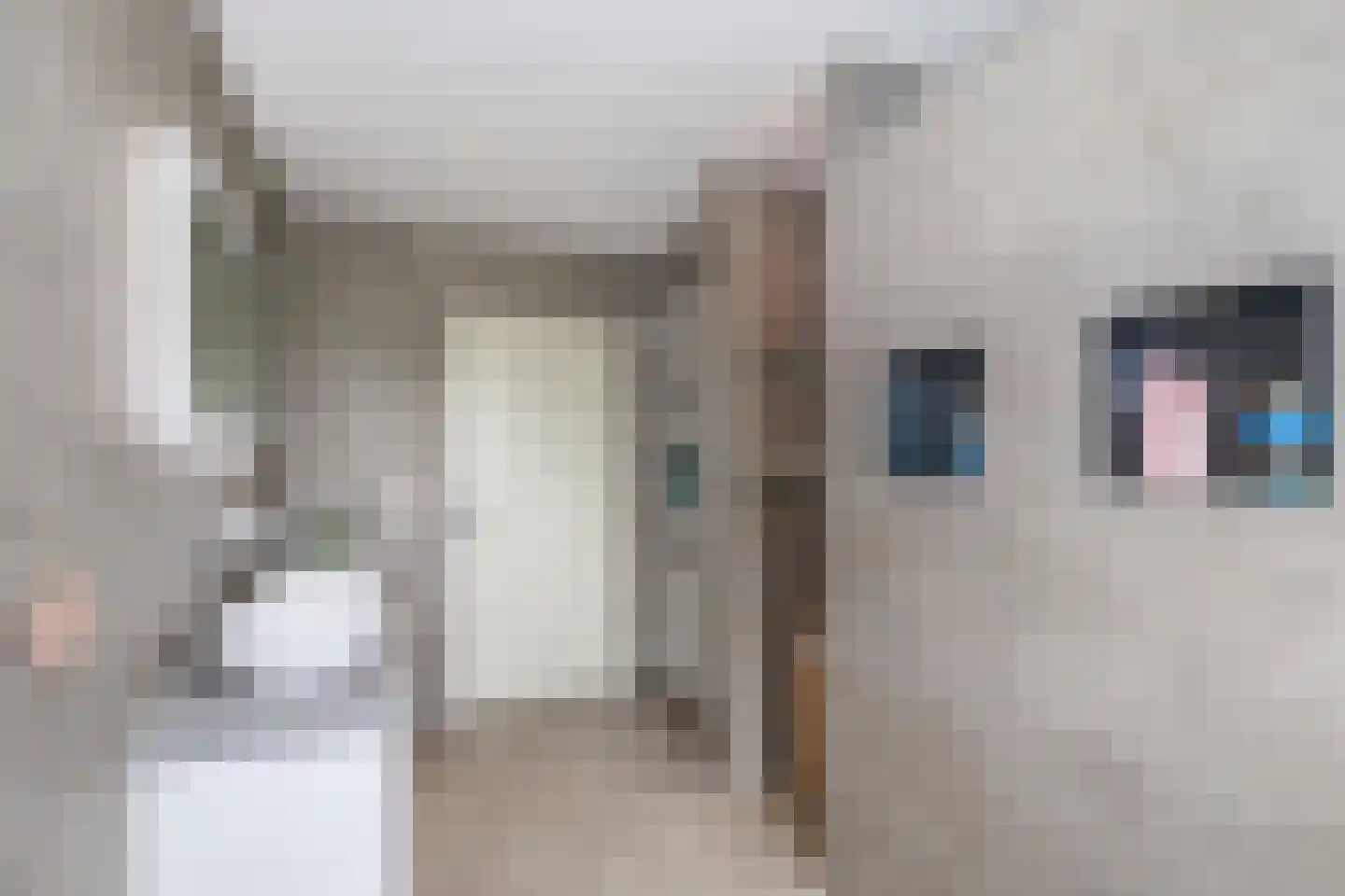 Molenweg 47 a Oostvoorne thumbnail 52