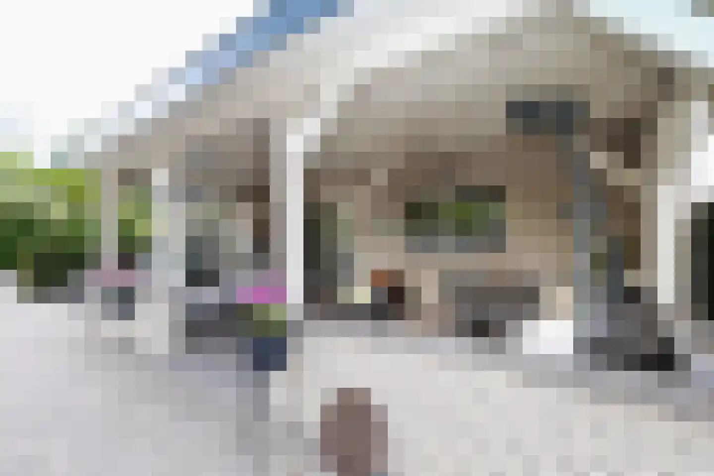 Molenweg 47 a Oostvoorne thumbnail 59