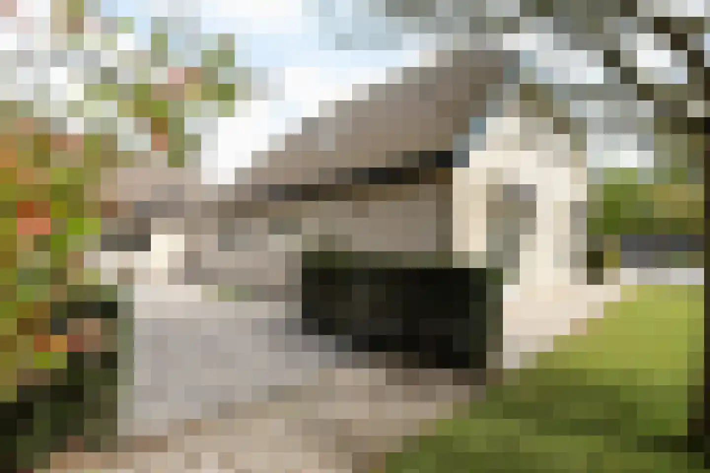 Molenweg 47 a Oostvoorne thumbnail 69