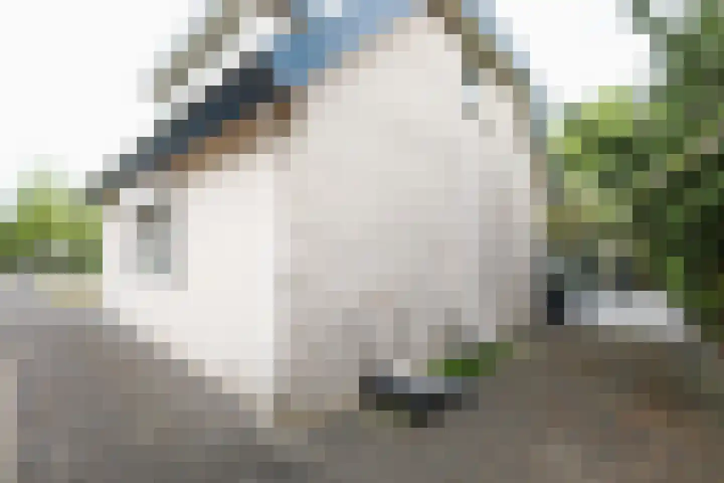 Molenweg 47 a Oostvoorne thumbnail 73
