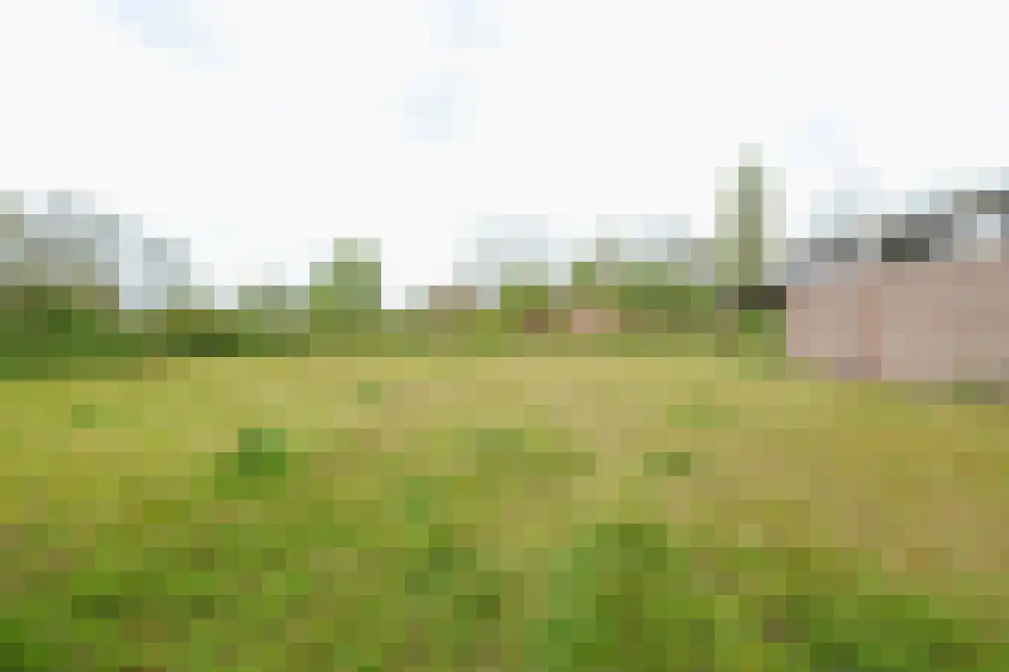 Molenweg 47 a Oostvoorne thumbnail 76