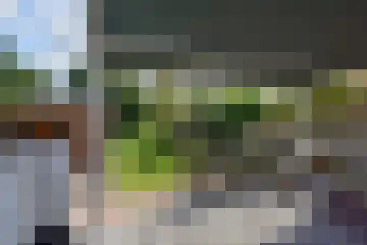 Molenweg 47 Nootdorp thumbnail 22