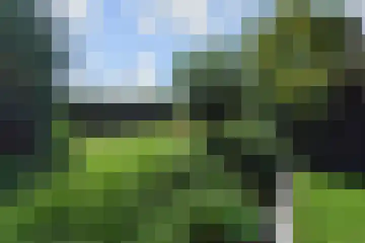 Molenweg 47 Nootdorp thumbnail 26