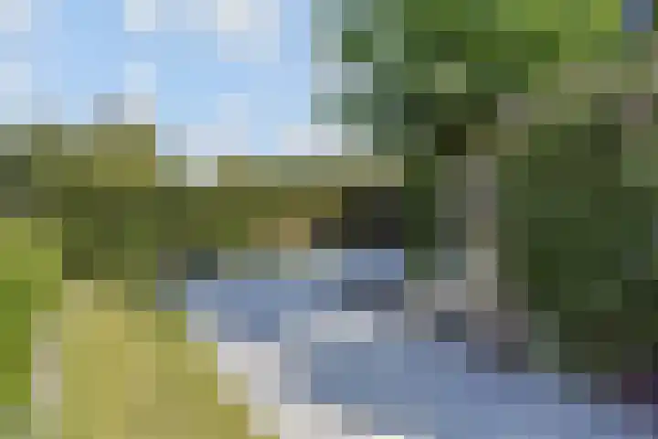 Molenweg 47 Nootdorp thumbnail 5