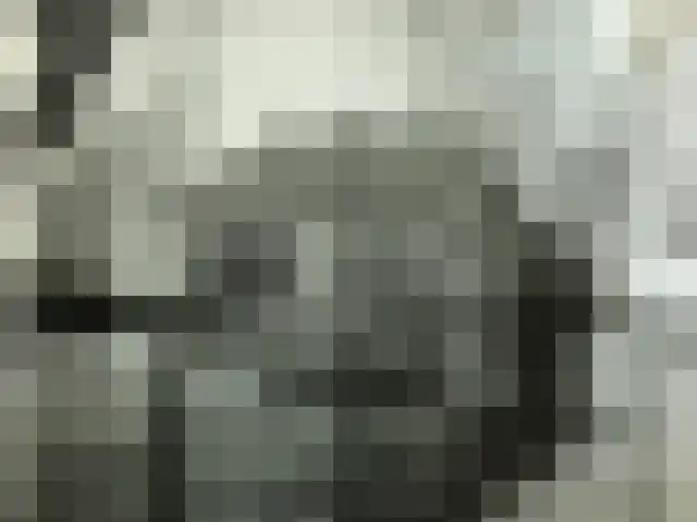 Molenweg 48 in Niebert