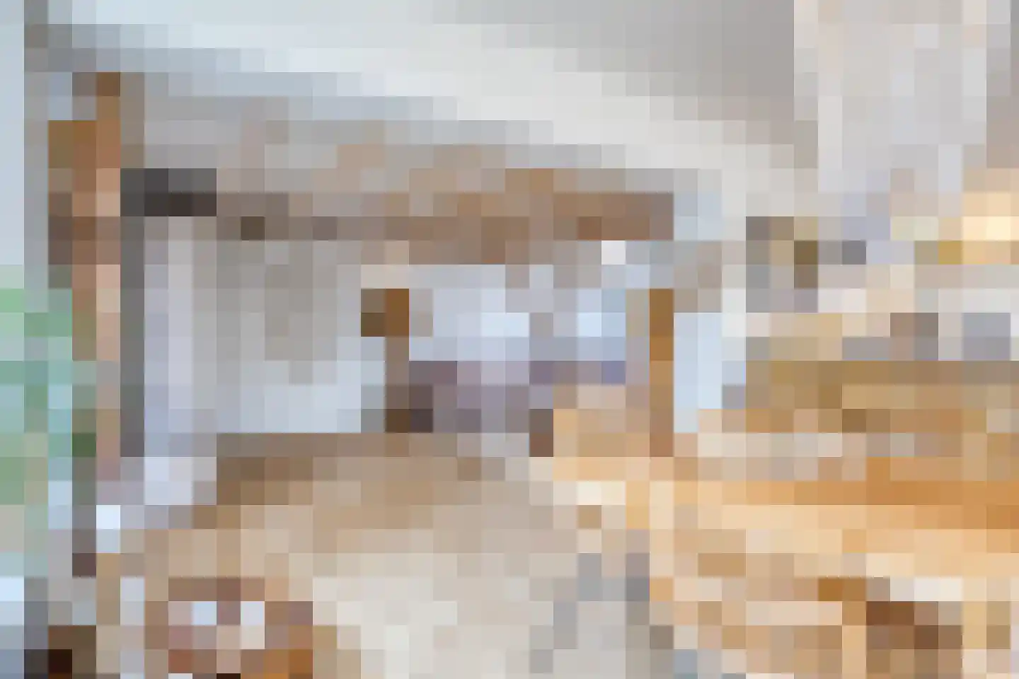 Molenweg 48 Andijk thumbnail 12
