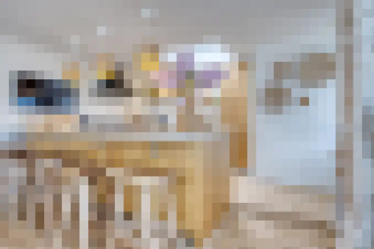 Molenweg 48 Andijk thumbnail 13