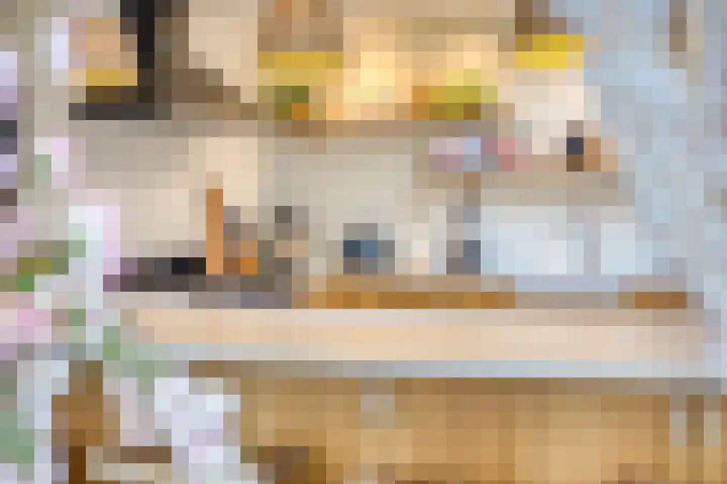 Molenweg 48 Andijk thumbnail 19