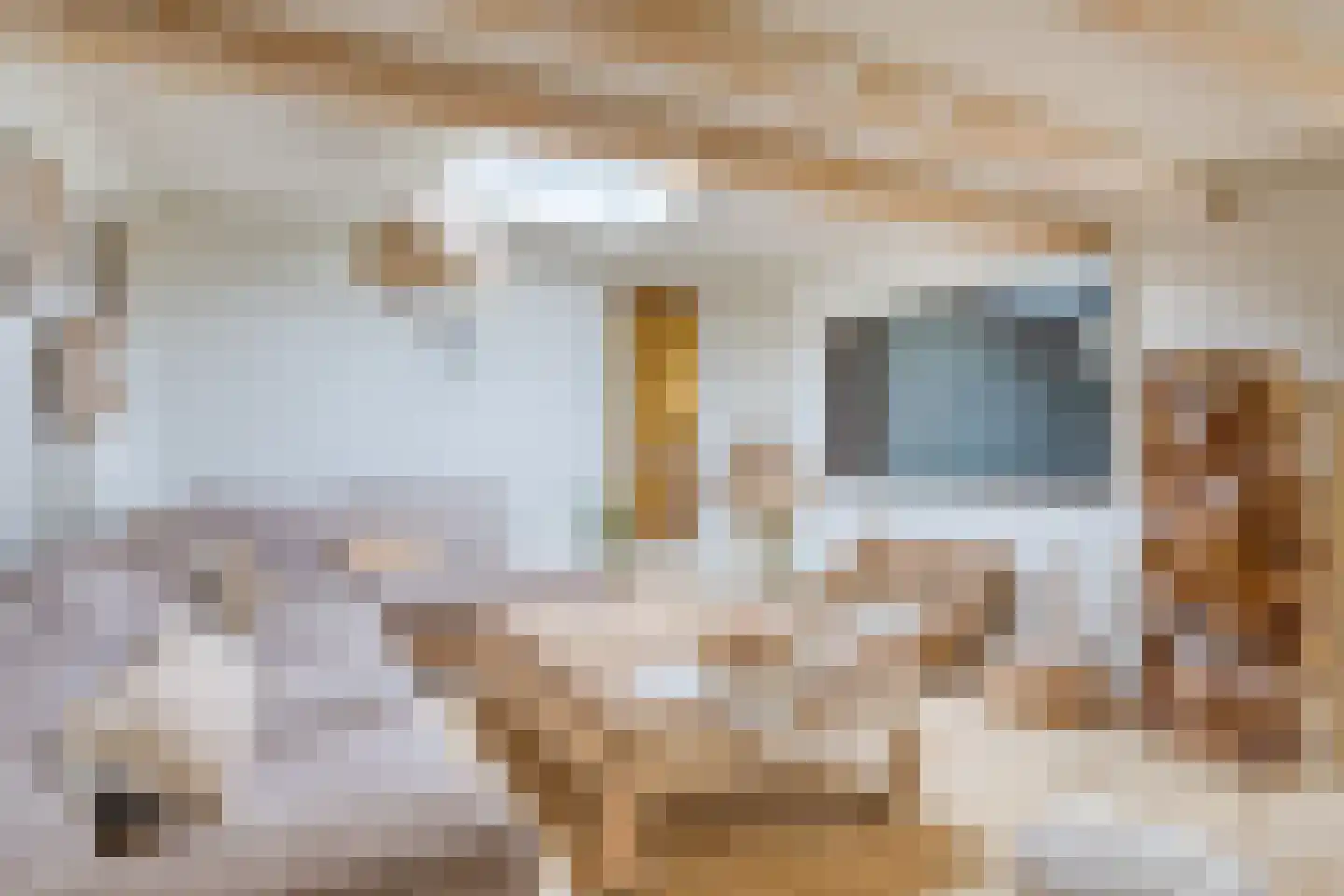 Molenweg 48 Andijk thumbnail 32