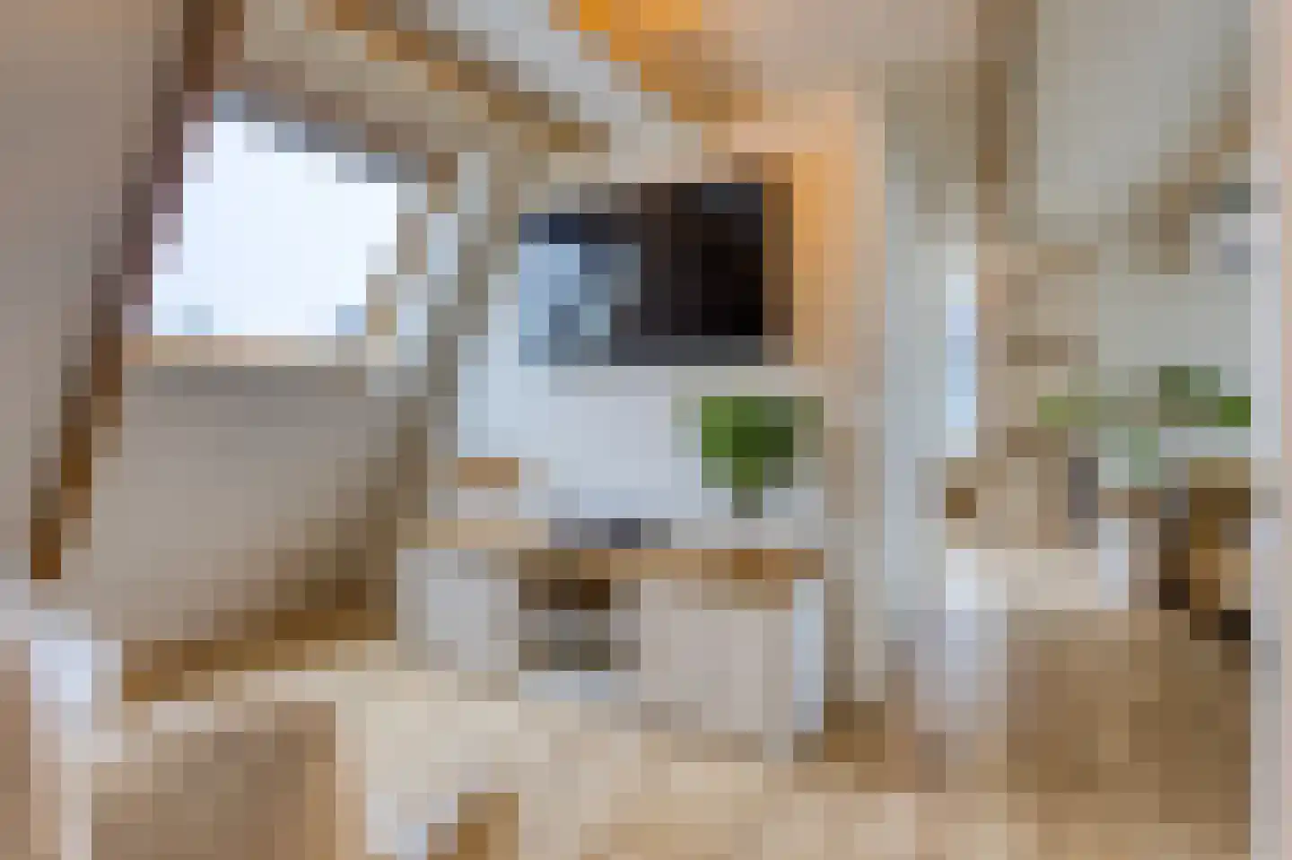 Molenweg 48 Andijk thumbnail 52