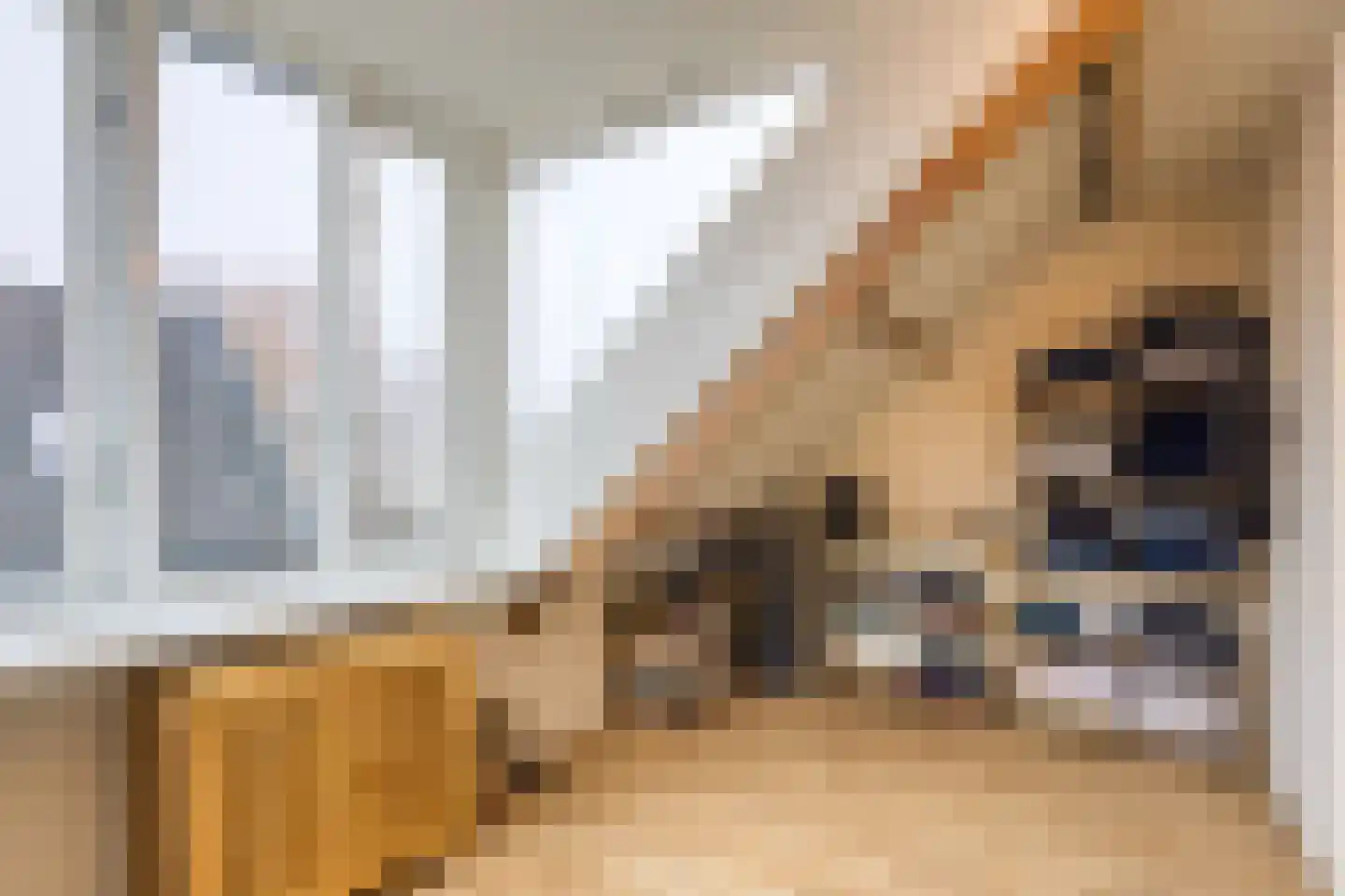 Molenweg 48 Andijk thumbnail 60