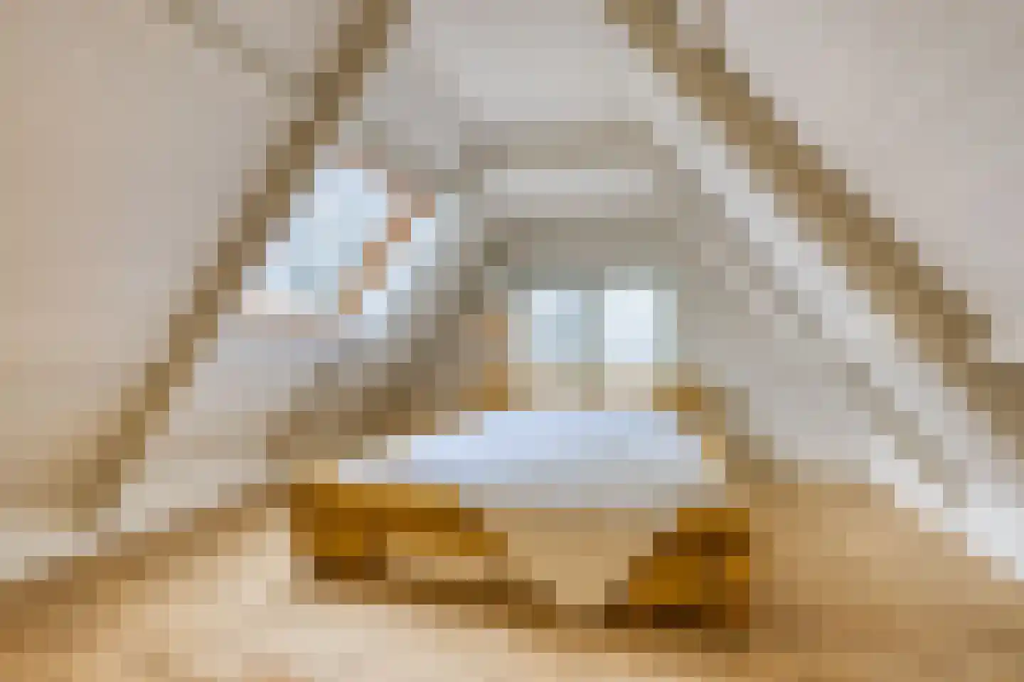 Molenweg 48 Andijk thumbnail 70
