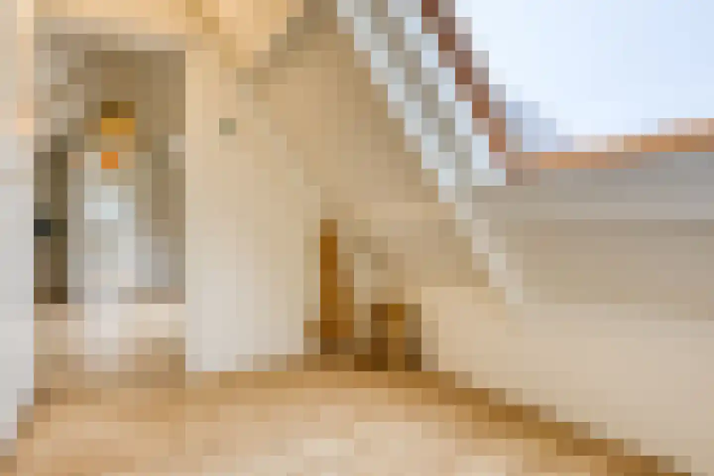 Molenweg 48 Andijk thumbnail 73