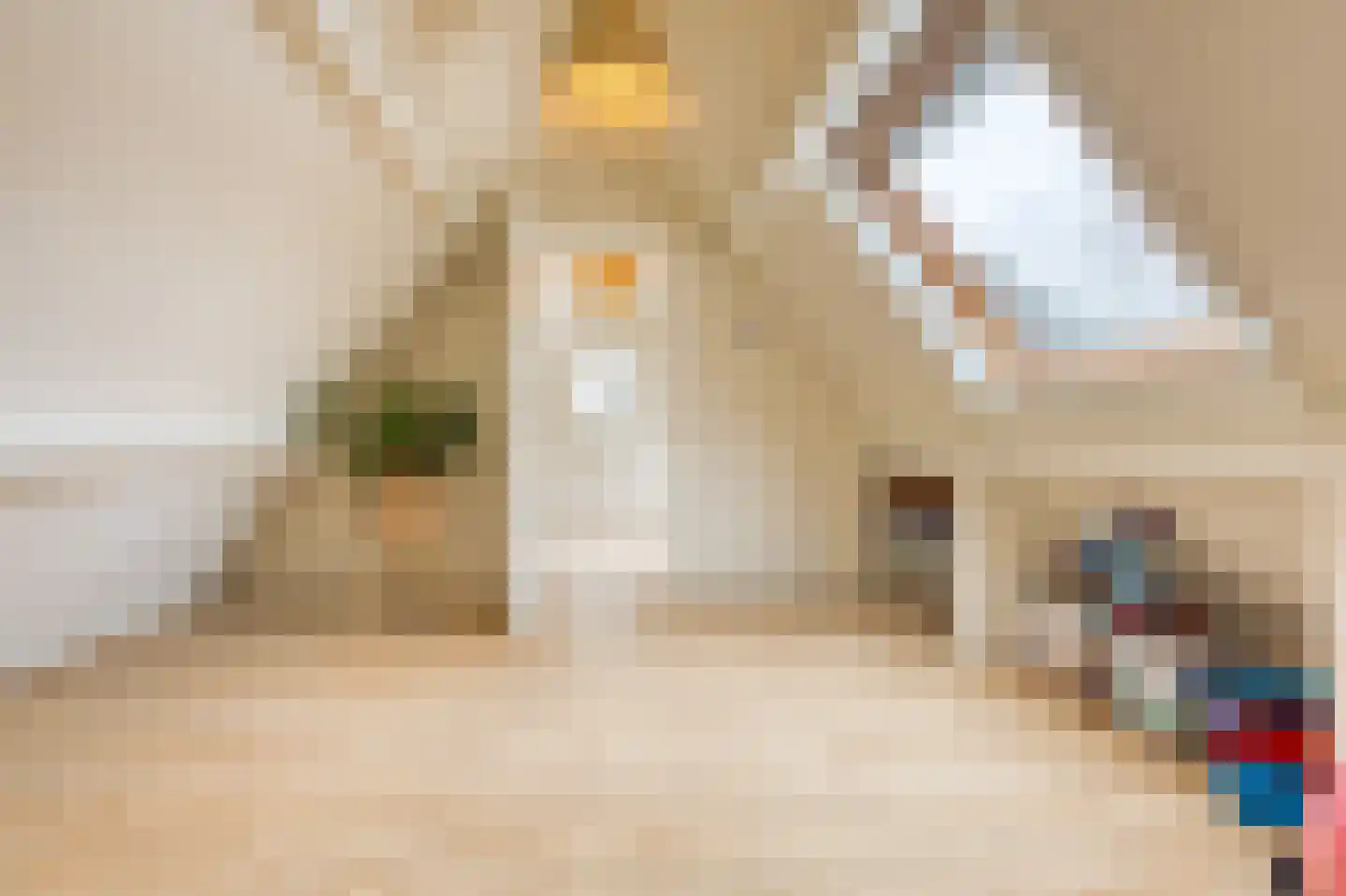 Molenweg 48 Andijk thumbnail 74