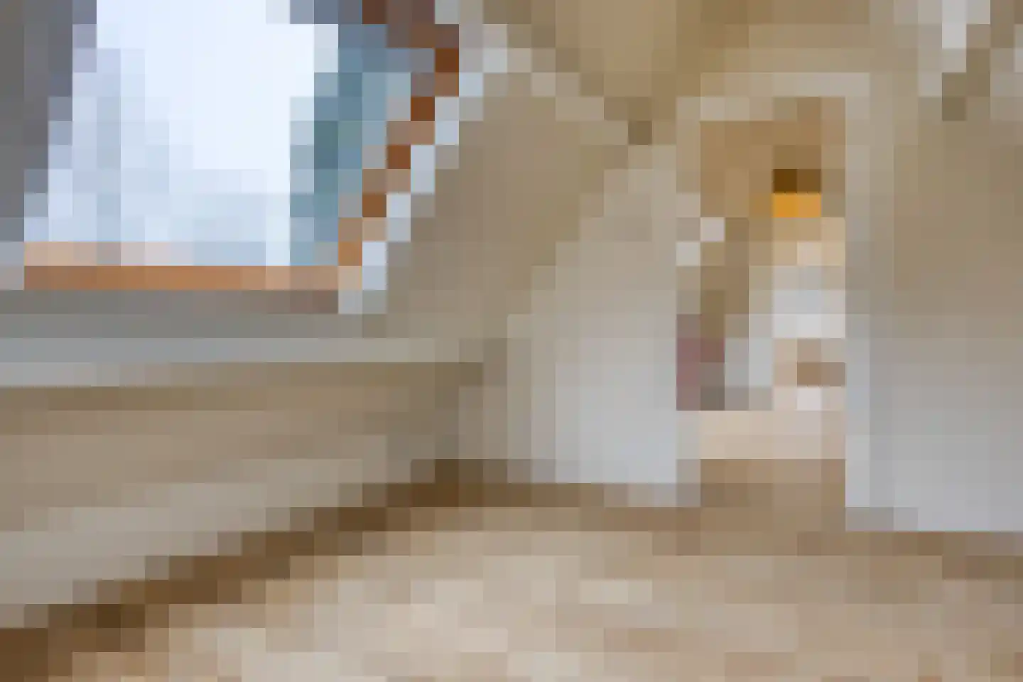Molenweg 48 Andijk thumbnail 76