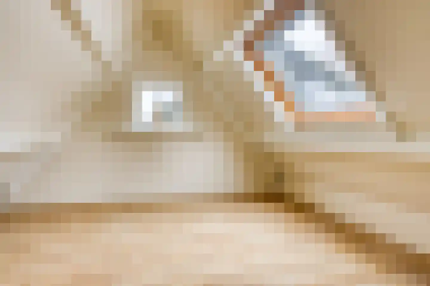 Molenweg 48 Andijk thumbnail 77