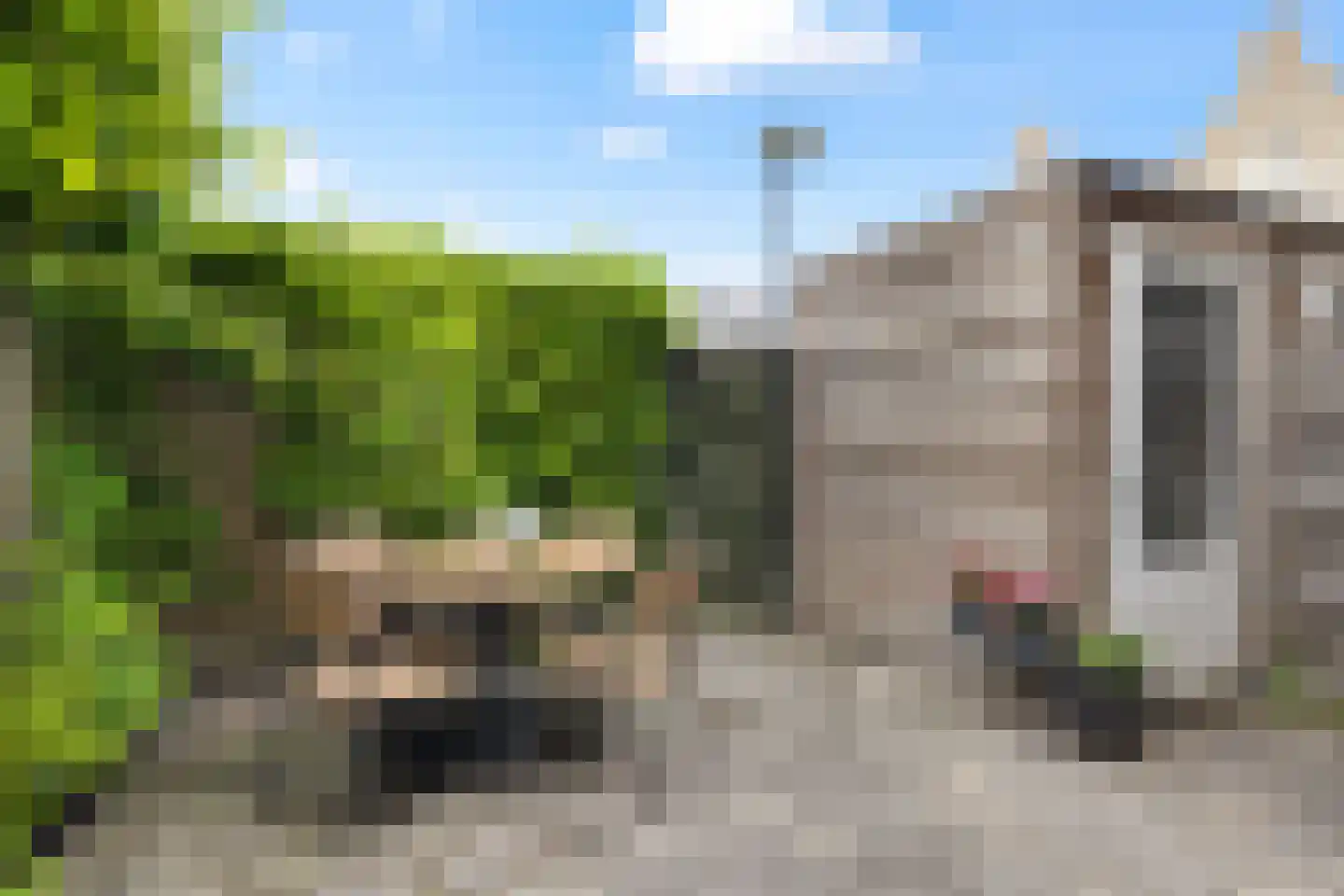 Molenweg 48 Maarssen thumbnail 19