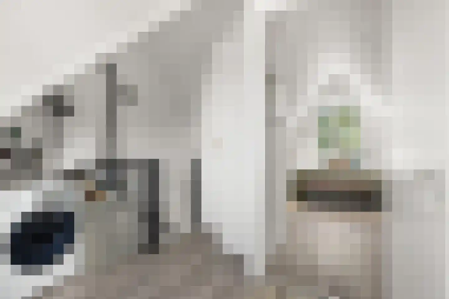 Molenweg 48 Maarssen thumbnail 32