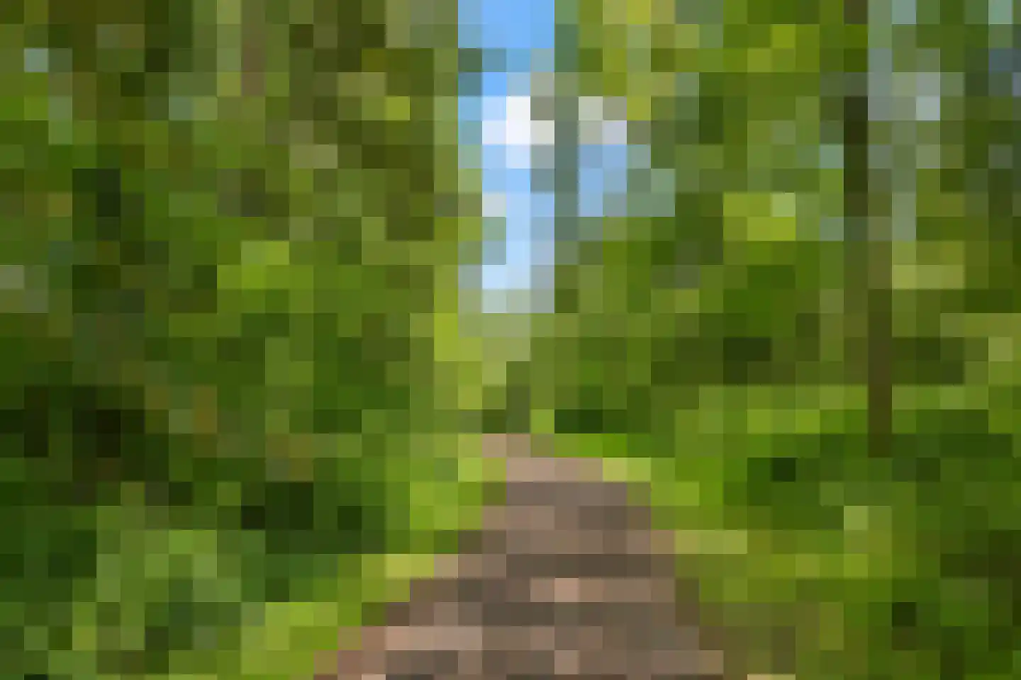 Molenweg 48 Maarssen thumbnail 40