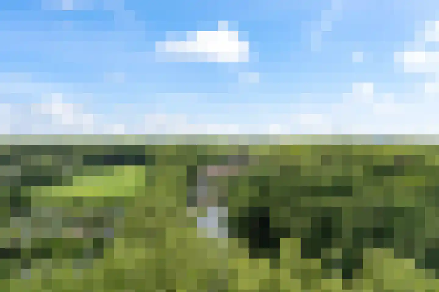 Molenweg 48 Maarssen thumbnail 43