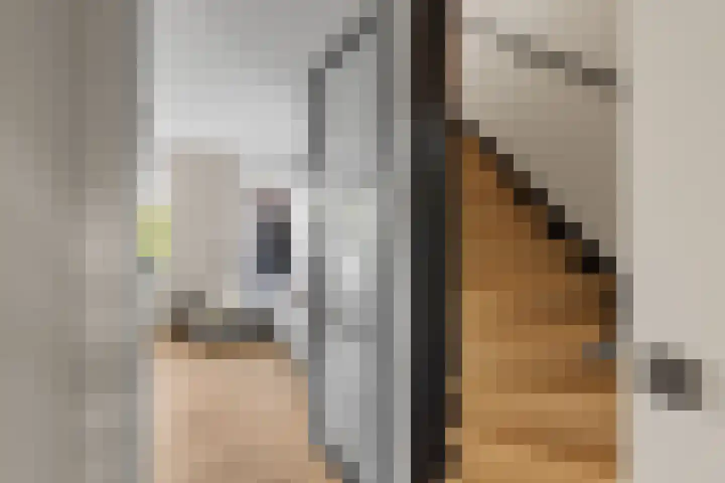 Molenweg 48 Maarssen thumbnail 6