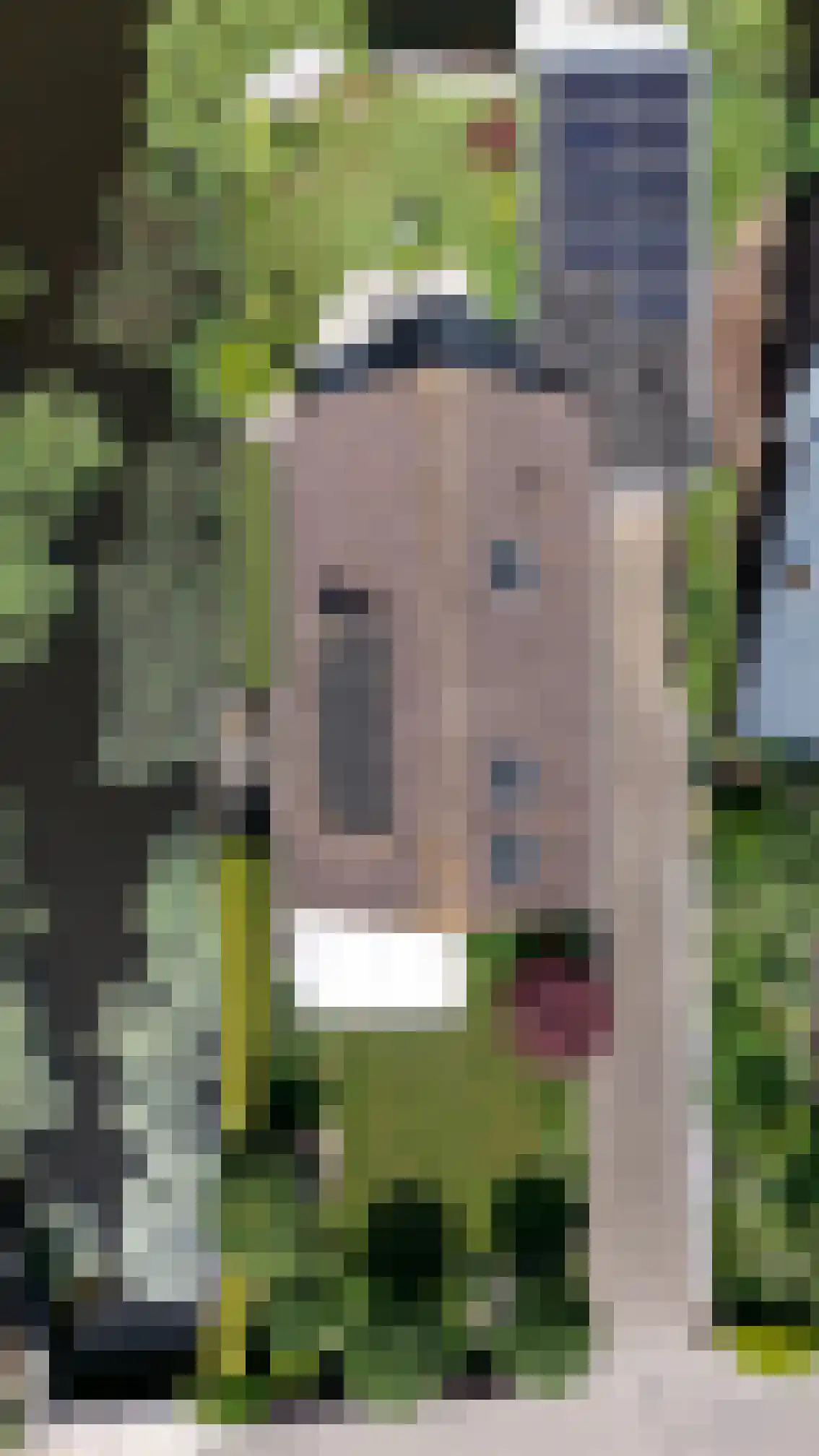 Molenweg 5 a Andijk thumbnail 101