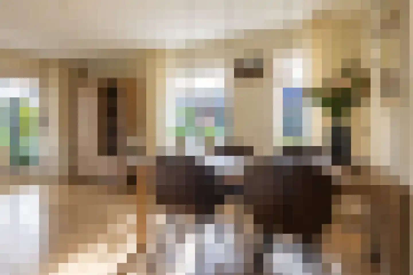 Molenweg 5 a Andijk thumbnail 12