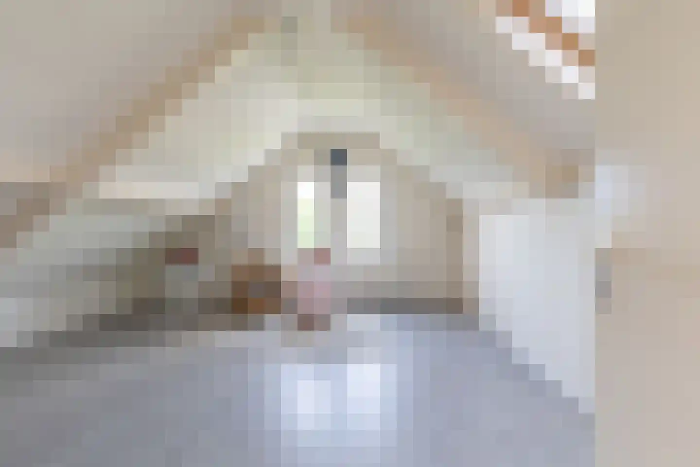 Molenweg 5 a Andijk thumbnail 28