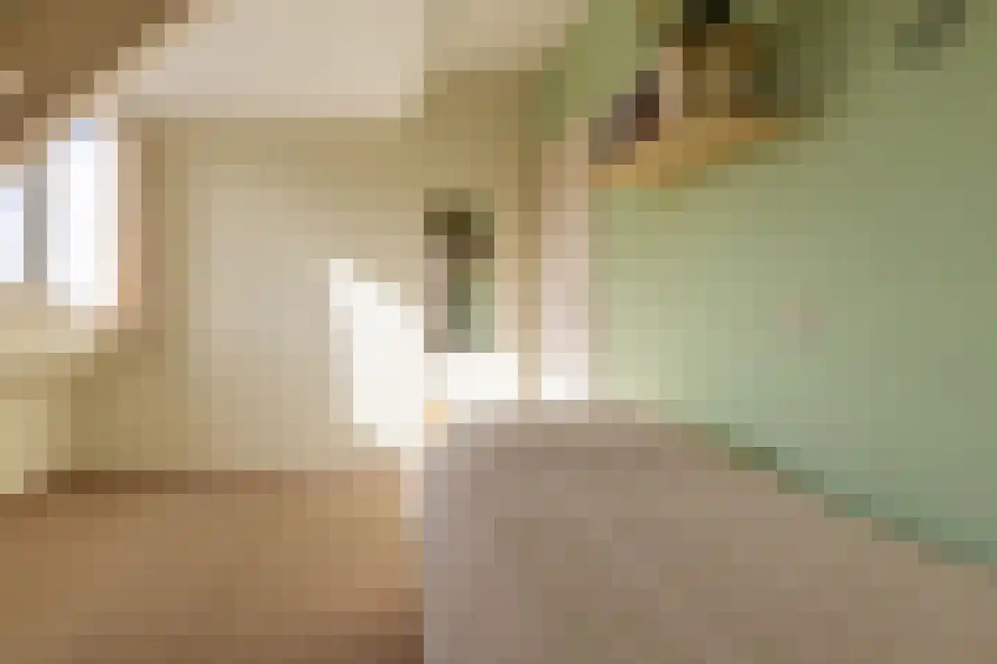 Molenweg 5 a Andijk thumbnail 36