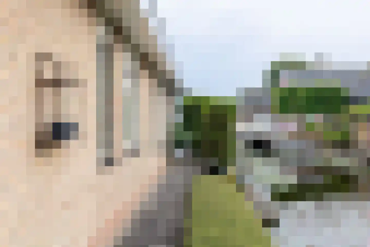 Molenweg 5 a Andijk thumbnail 68