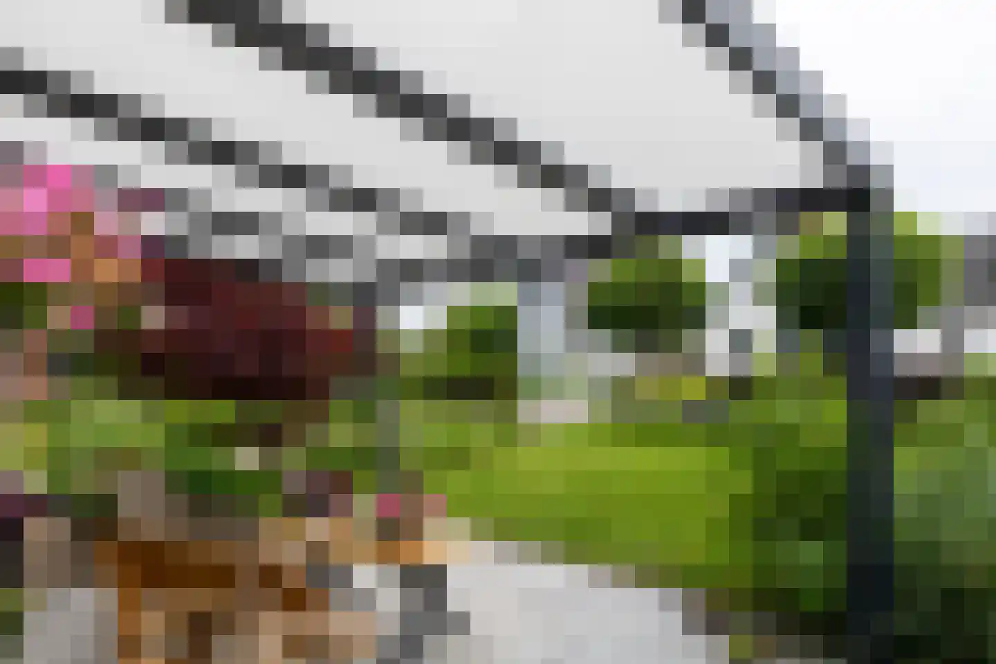 Molenweg 5 a Andijk thumbnail 70