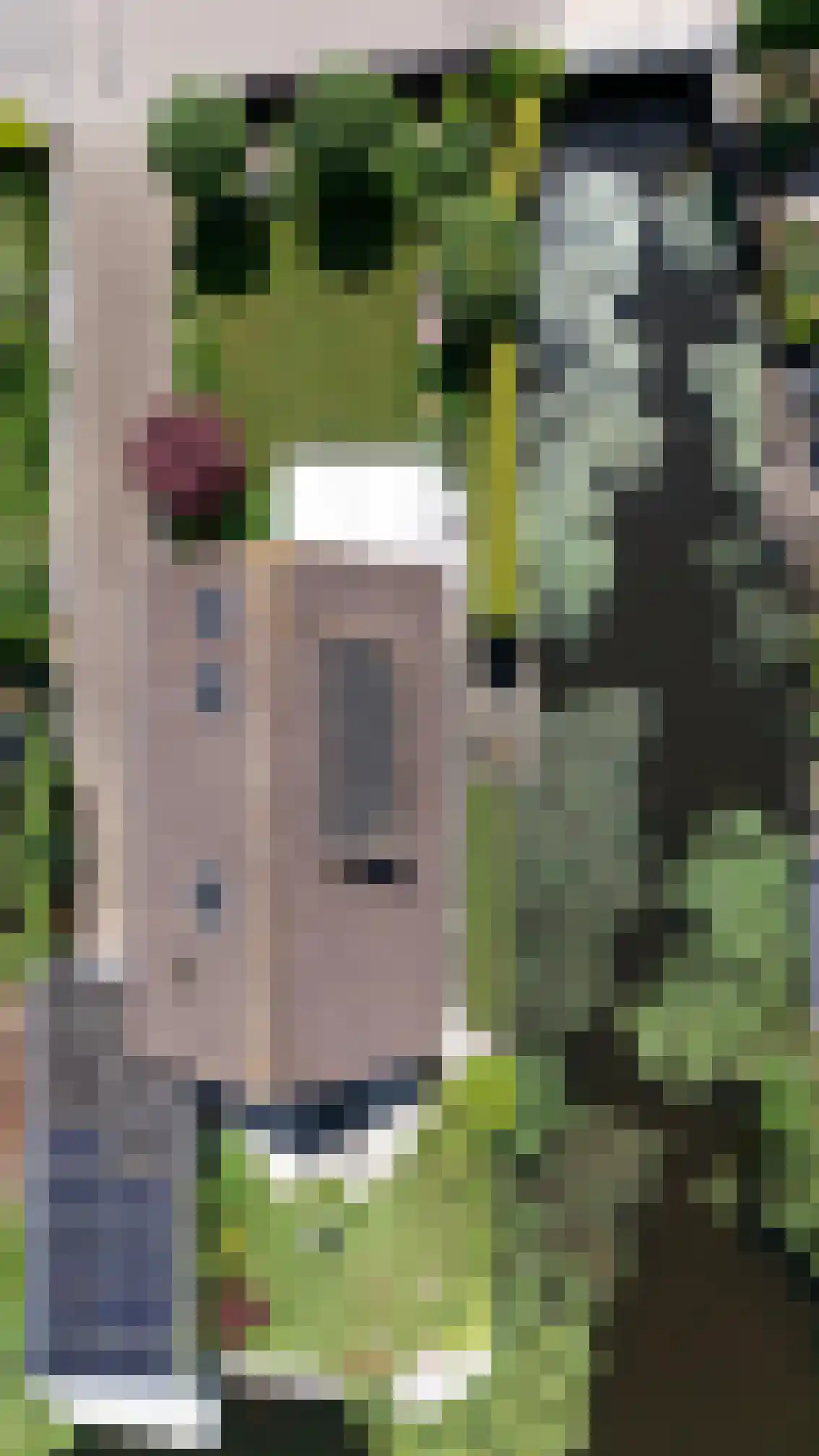 Molenweg 5 a Andijk thumbnail 80