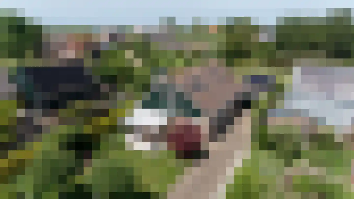 Molenweg 5 a Andijk thumbnail 94