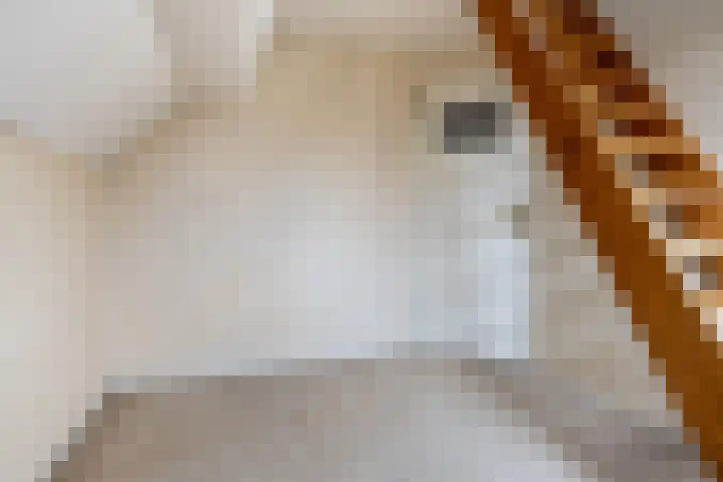 Molenweg 5 Heiloo thumbnail 32