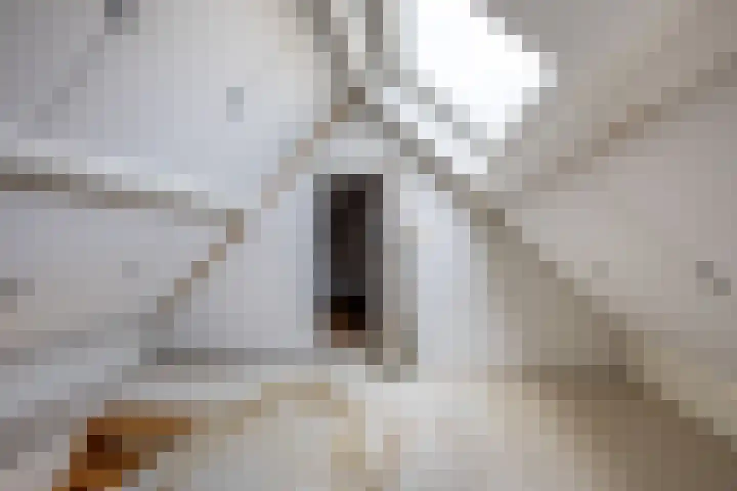Molenweg 5 Heiloo thumbnail 33
