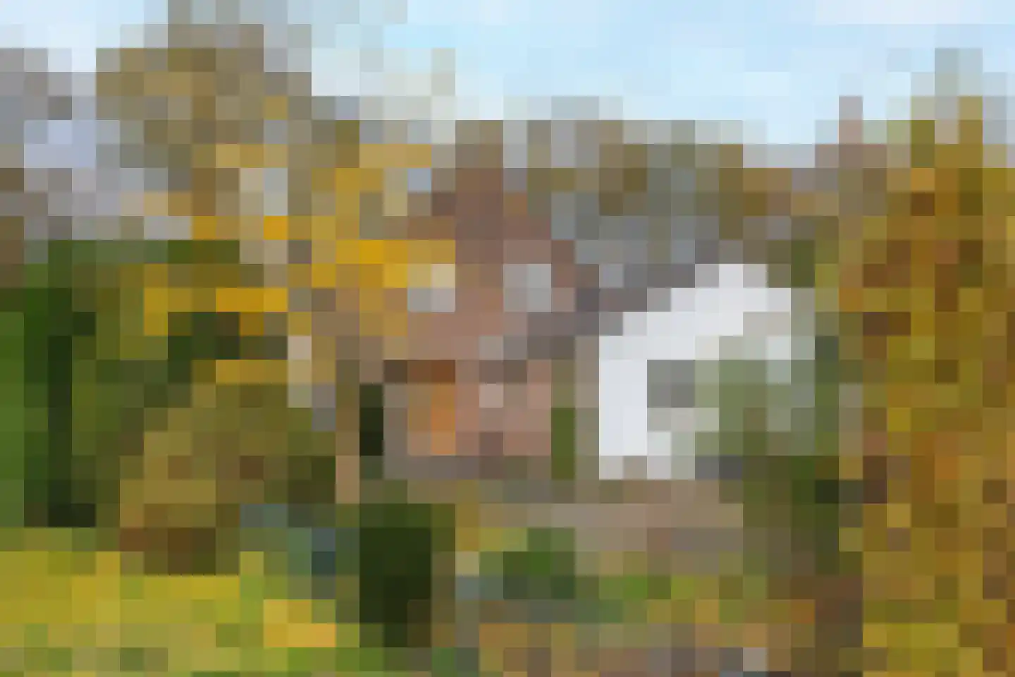 Molenweg 5 Heiloo thumbnail 38