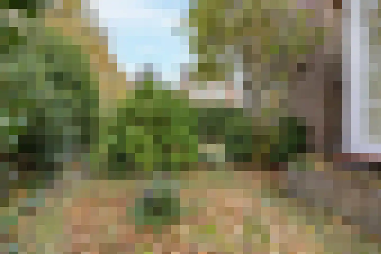 Molenweg 5 Heiloo thumbnail 45
