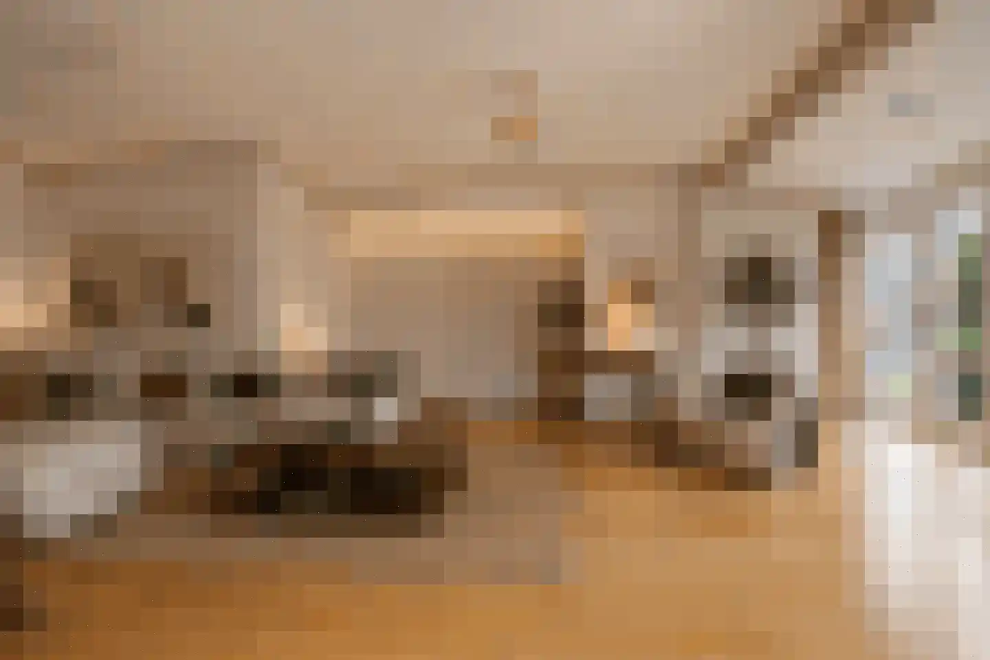 Molenweg 5 Heiloo thumbnail 7