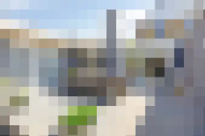 Molenweg 5 Oosterwolde thumbnail 4
