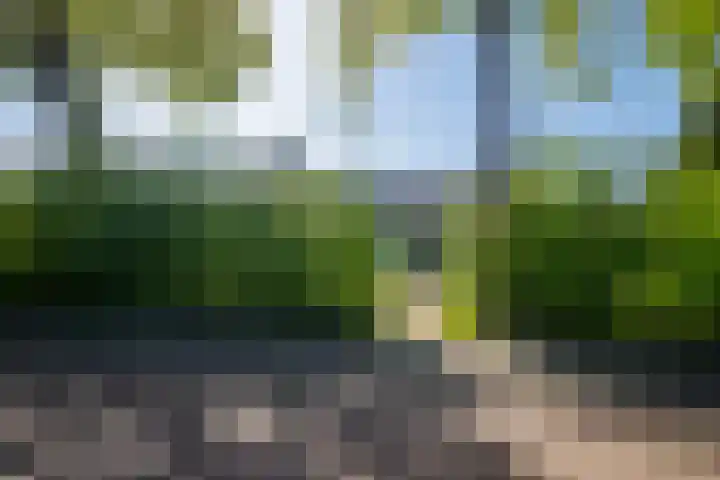 Molenweg 5 Roden thumbnail 10