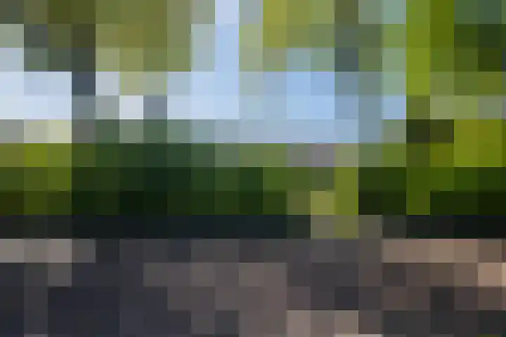 Molenweg 5 Roden thumbnail 11